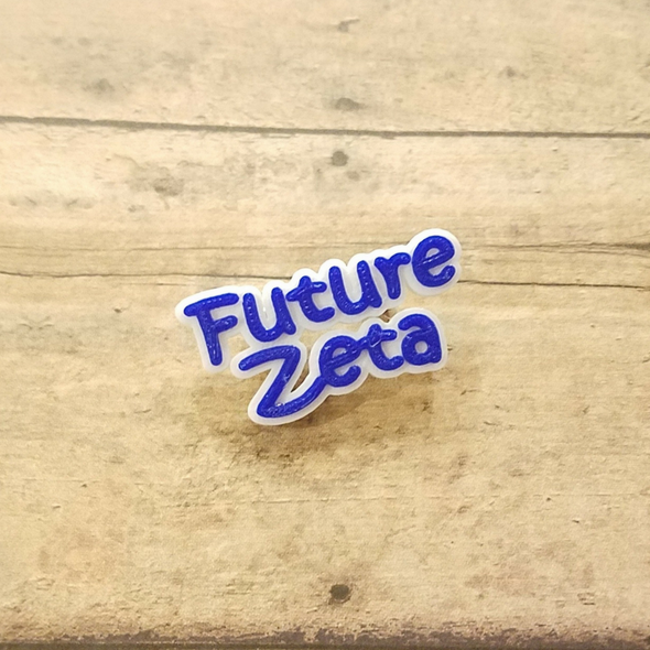 Future Zeta Pin - Inventory